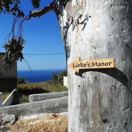 Dom wakacyjny Liolio's Manor *